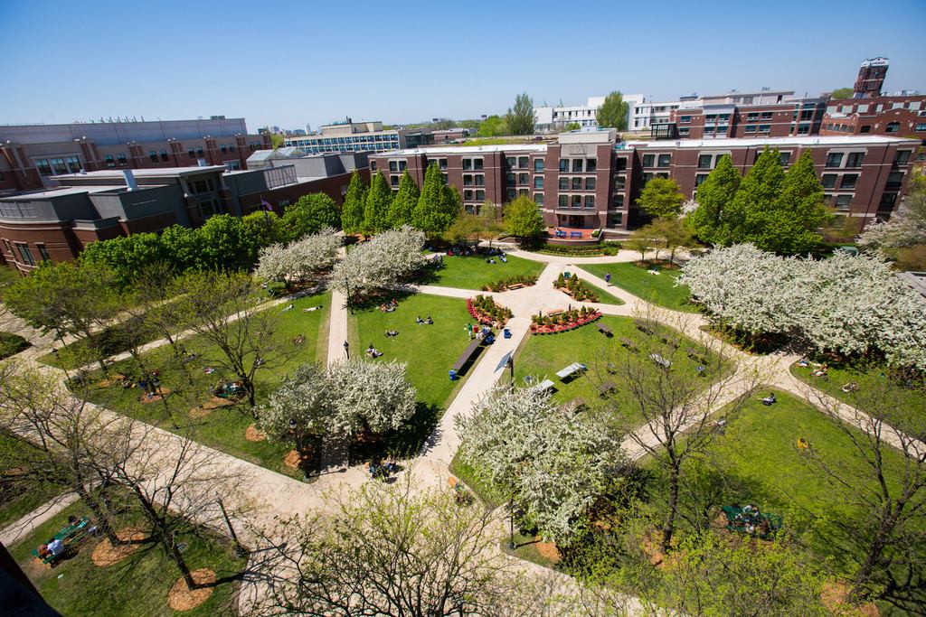 Brick campus buildings with a large green courtyard filled with blossoming trees. 